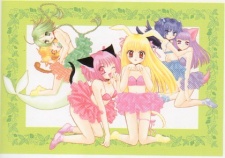 Imagen de Tokyo Mew Mew à La Mode