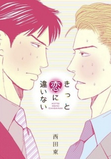 Imagen de Kitto Koi ni Chigainai