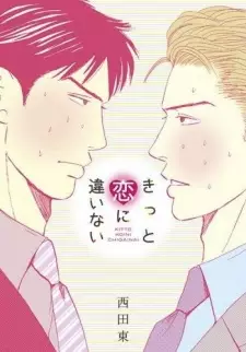 Kitto Koi ni Chigainai