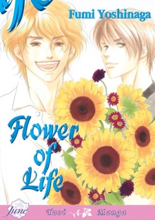 Imagen de Flower of Life