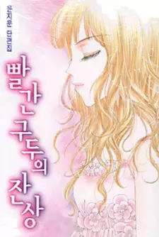 Cover of 빨간 구두의 잔상