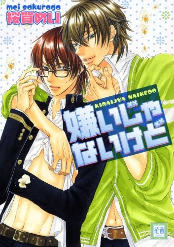 Cover for Kirai ja Nai kedo