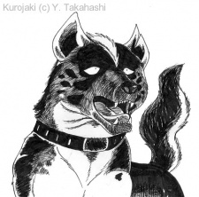 Imagen de Ginga Nagareboshi Gin