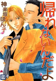 Imagen de Kaerenai n da yo