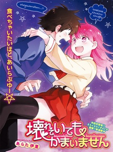 Imagen de Kowareteitemo Kamaimasen