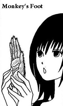 Imagen de Monkey's Foot