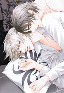 Imagen de Usotsuki na Kimi no Toriko