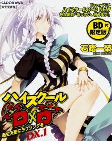 Imagen de High School DxD DX