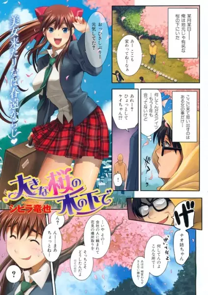 Ookina Sakura no Ki no Shita de