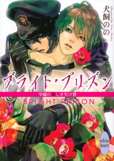 Imagen de Bright Prison