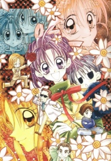 Imagen de Kamikaze Kaitou Jeanne