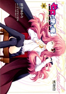 Imagen de Zero no Tsukaima Chevalier