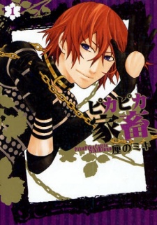 Imagen de Pikapika Kachiku