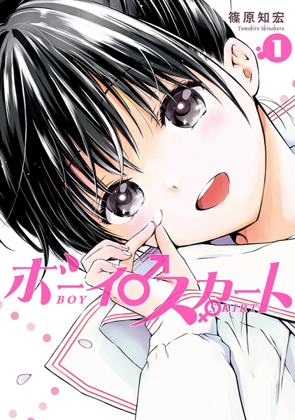 Cover for Boy Skirt