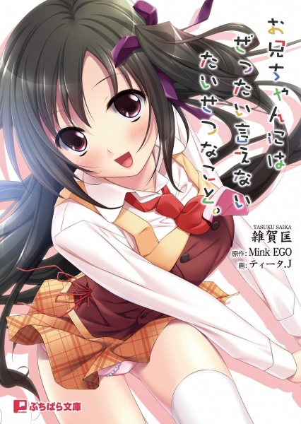 Oniichan ni wa Zettai Ienai Taisetsu na Koto. cover