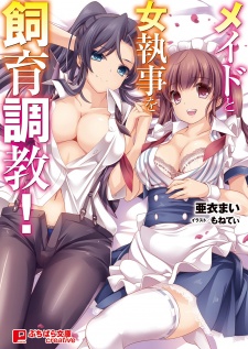 Imagen de Maid to Onnashitsuji wo Shiiku Choukyou