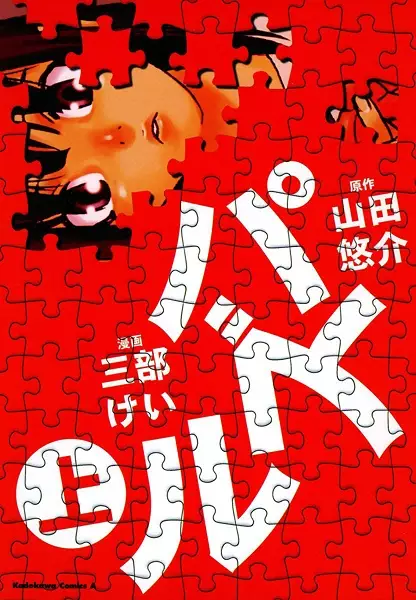 Puzzle cover