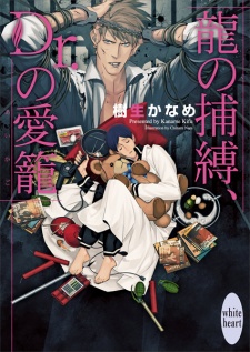 Imagen de Ryuu & Dr. Series