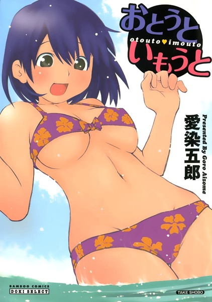 Otouto Imouto cover