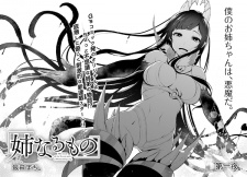 Imagen de Ane Naru Mono