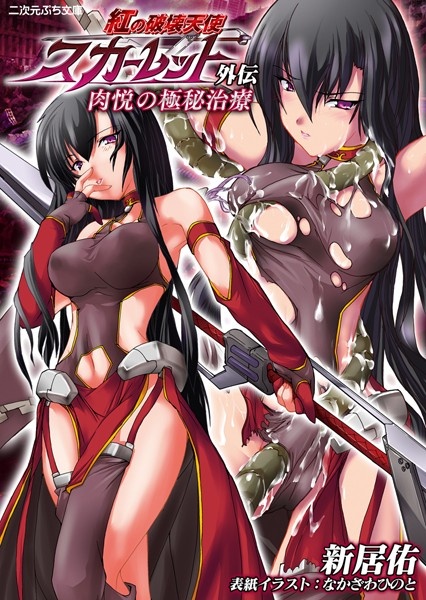 Kurenai no Hakai Tenshi Scarlet Gaiden: Nikuetsu no Gokuhi Chiryou cover