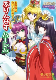 Imagen de Princess Harem: Ohimesama wa Makerarenai!