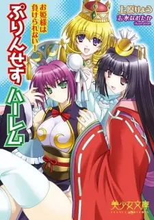 Princess Harem: Ohimesama wa Makerarenai!