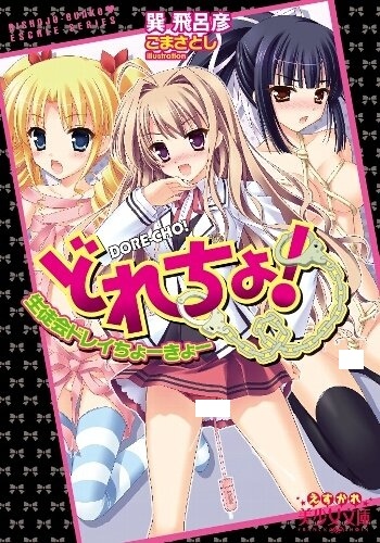 Dorecho!: Seitokai Dorei Choukyou cover