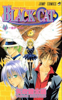 Imagen de Black Cat