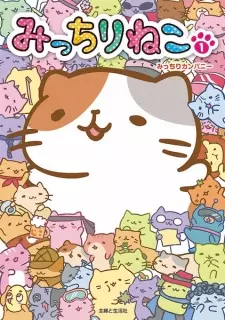 Cover image for Micchiri Neko