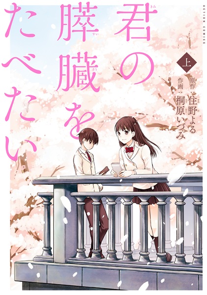 Cover for Kimi no Suizou wo Tabetai