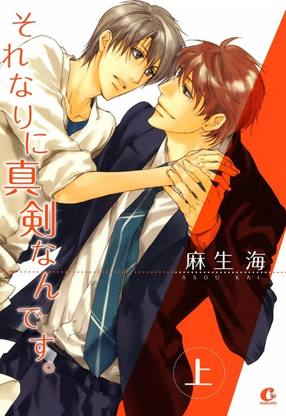 Cover for Sorenari ni Shinken Nan desu.