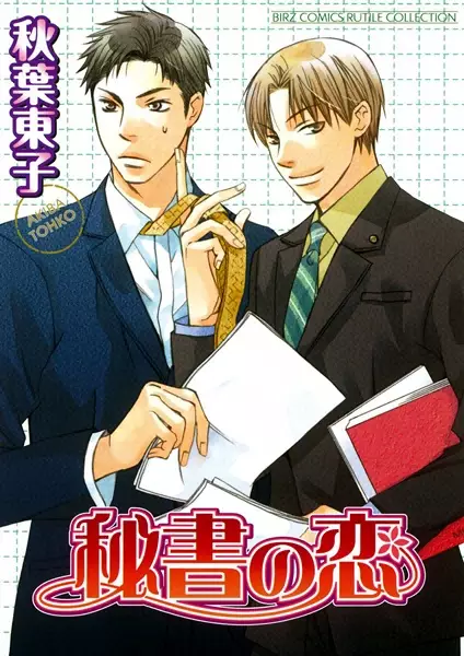 Cover of Secretary's Love