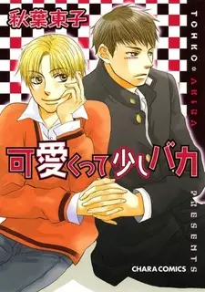 Cover of 可愛くって少しバカ