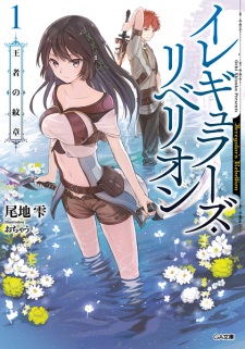 Imagen de Irregular's Rebellion