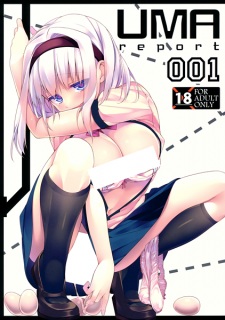 Imagen de UMA Report