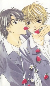 Imagen de Kimi ni Suki to Ittekara