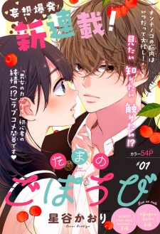 Imagen de Tama no Gohoubi