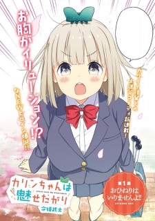 Imagen de Karin-chan wa Misetagari