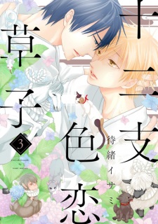 Imagen de Eto Irokoi-zoushi