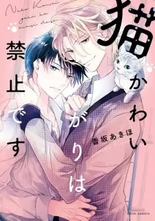 Neko Kawaigari wa Kinshi desu