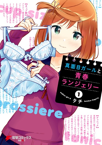 capa de mangá de Majime Girl to Seishun Lingerie
