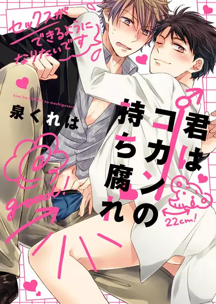 Kimi wa Kokan no Mochigusare