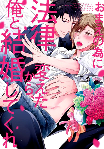 Poster de I Changed the Law for You, Would You Marry Me?
