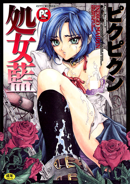 Indigo Maiden cover
