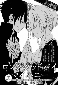 Imagen de Long Goodbye My Honey