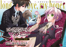 Imagen de Long Goodbye My Honey