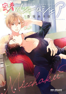 Imagen de Micchaku Room Share