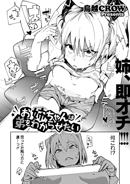 Oneechan wa Otouto wo Wakarasetai cover