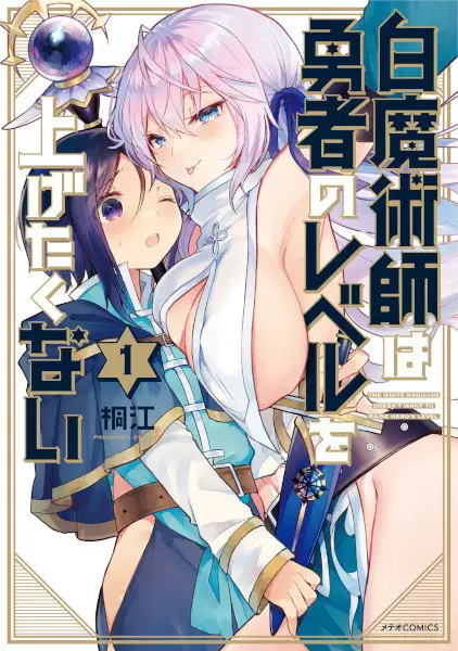 The White Mage Doesn't Want to Raise the Hero's Level